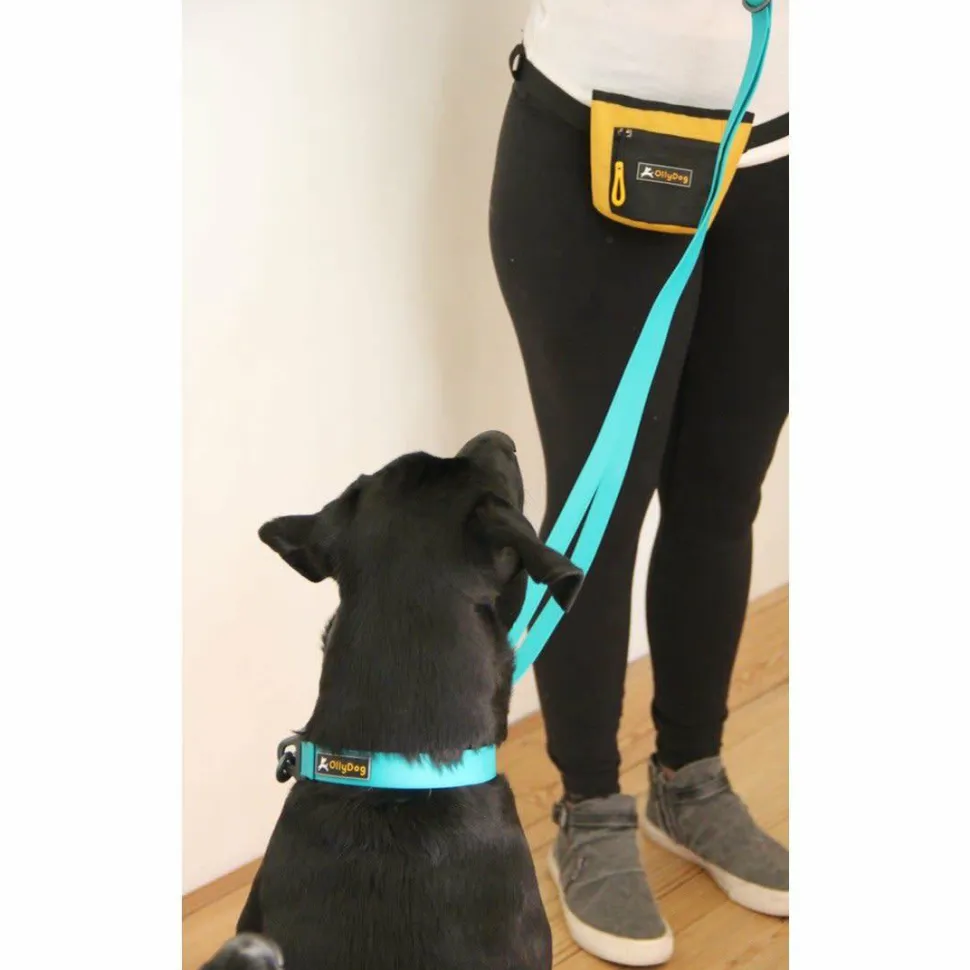 OllyDog Tilden Collar Teal