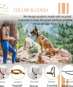 OllyDog Tilden Collar Teal