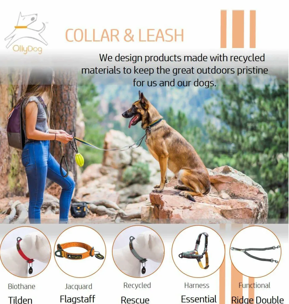 OllyDog Tilden Collar Teal