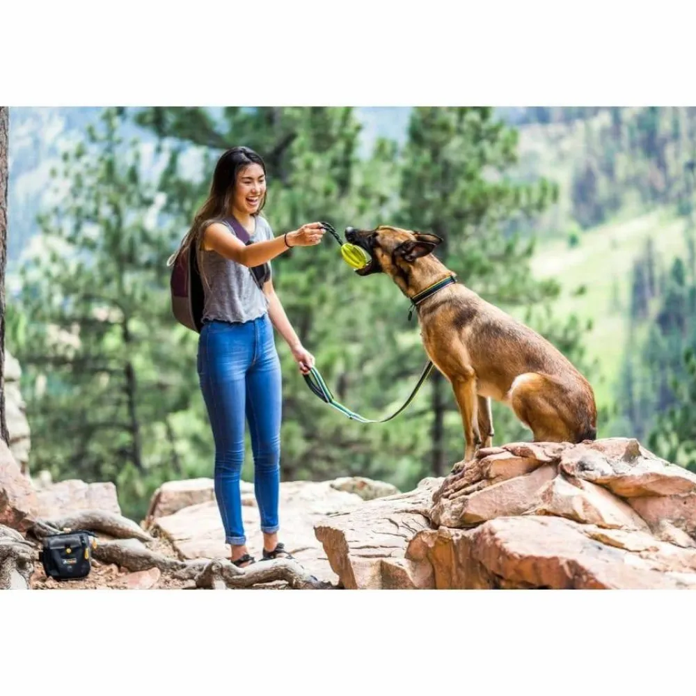 Clearance Urban Trail Reflective Collar Hund