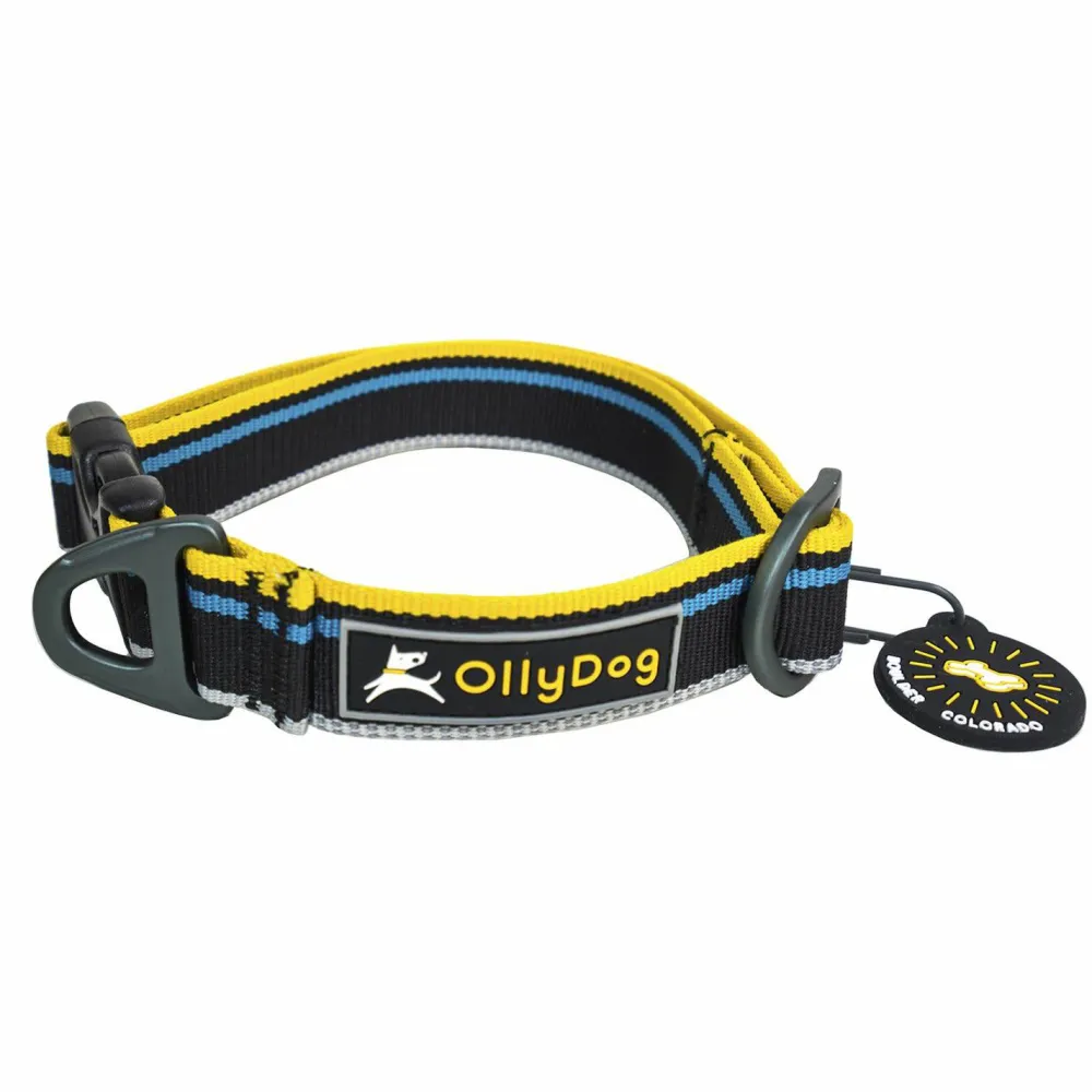 Clearance Urban Trail Reflective Collar Hund