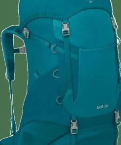 Osprey Kids' Ace 38 Blue Spikemoss/Deep Peyto