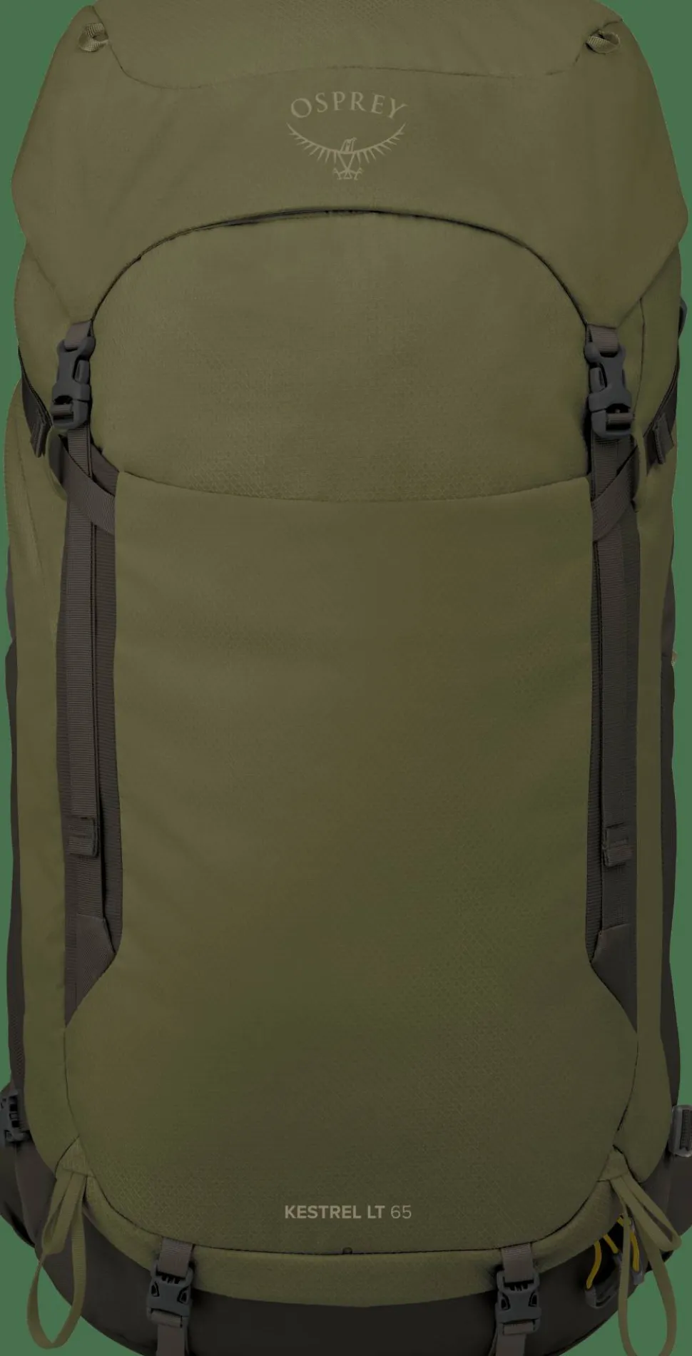 Osprey Men's Kestrel LT 65 Moss Green