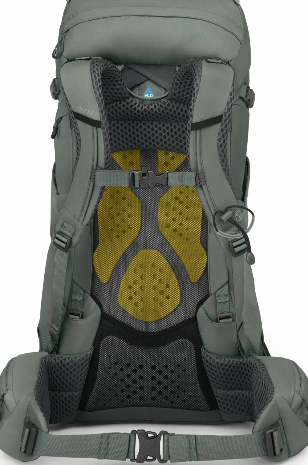 Osprey Women's Kyte 38 Rocky Brook Green Clearance