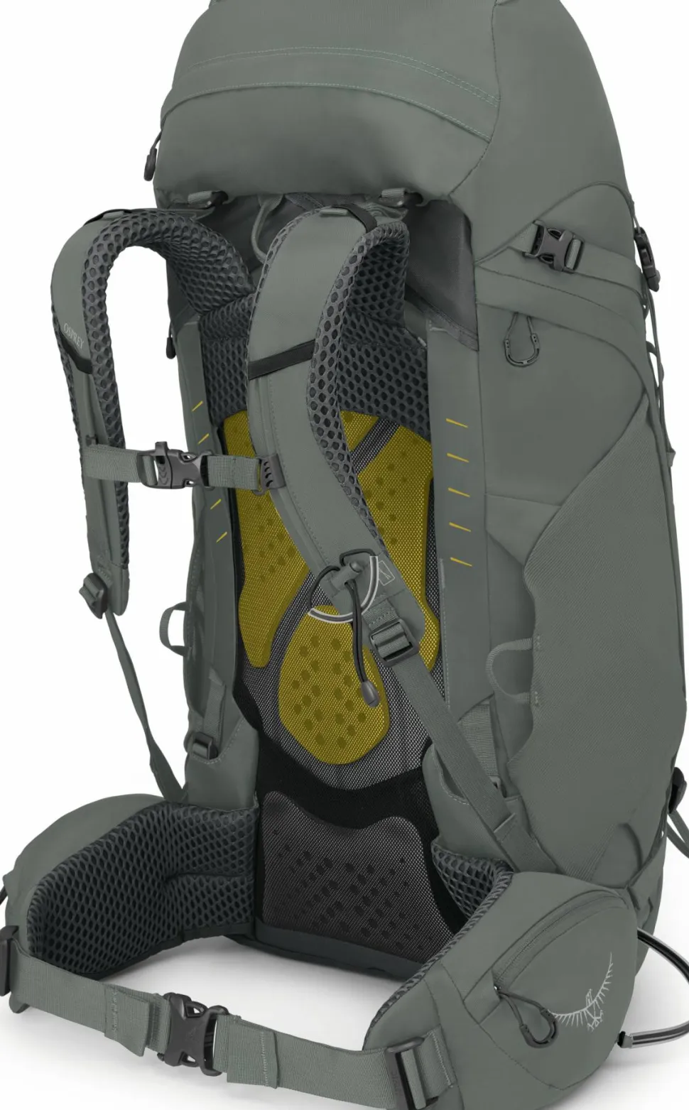 Osprey Women's Kyte 48 Rocky Brook Green