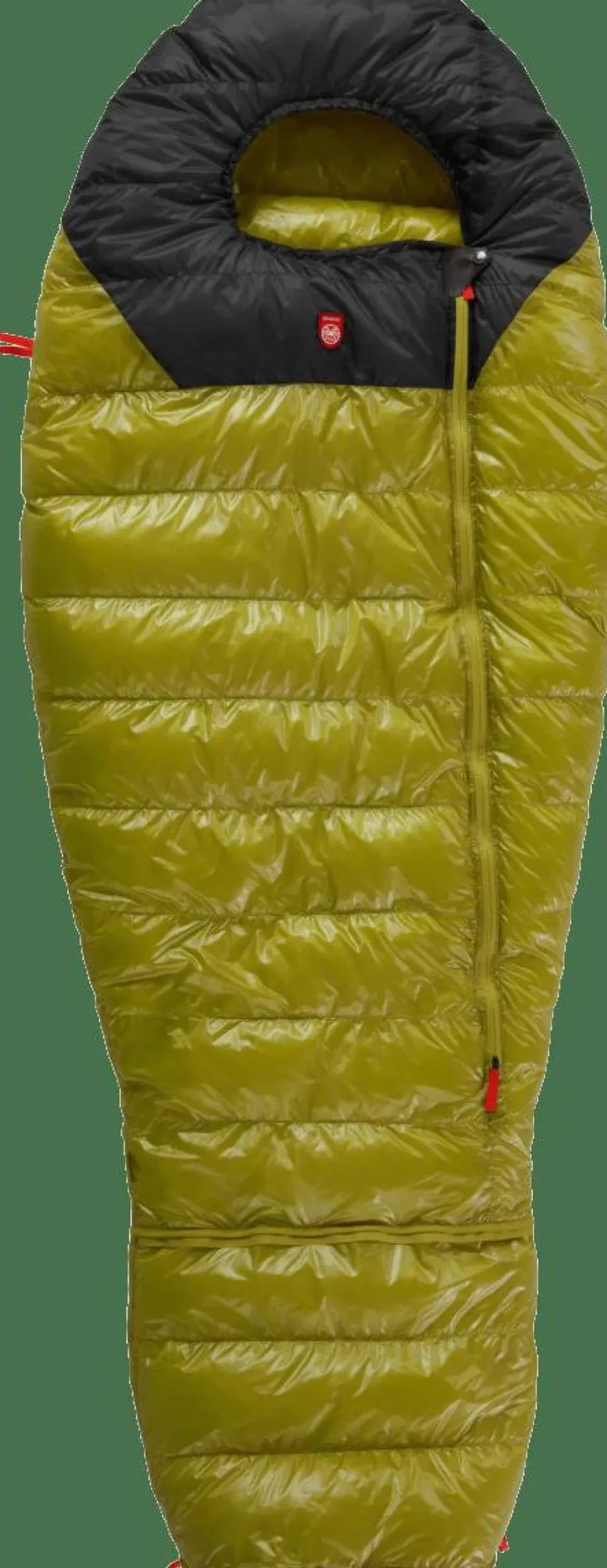 Pajak Kids' Quest Bear Olive/Black Online