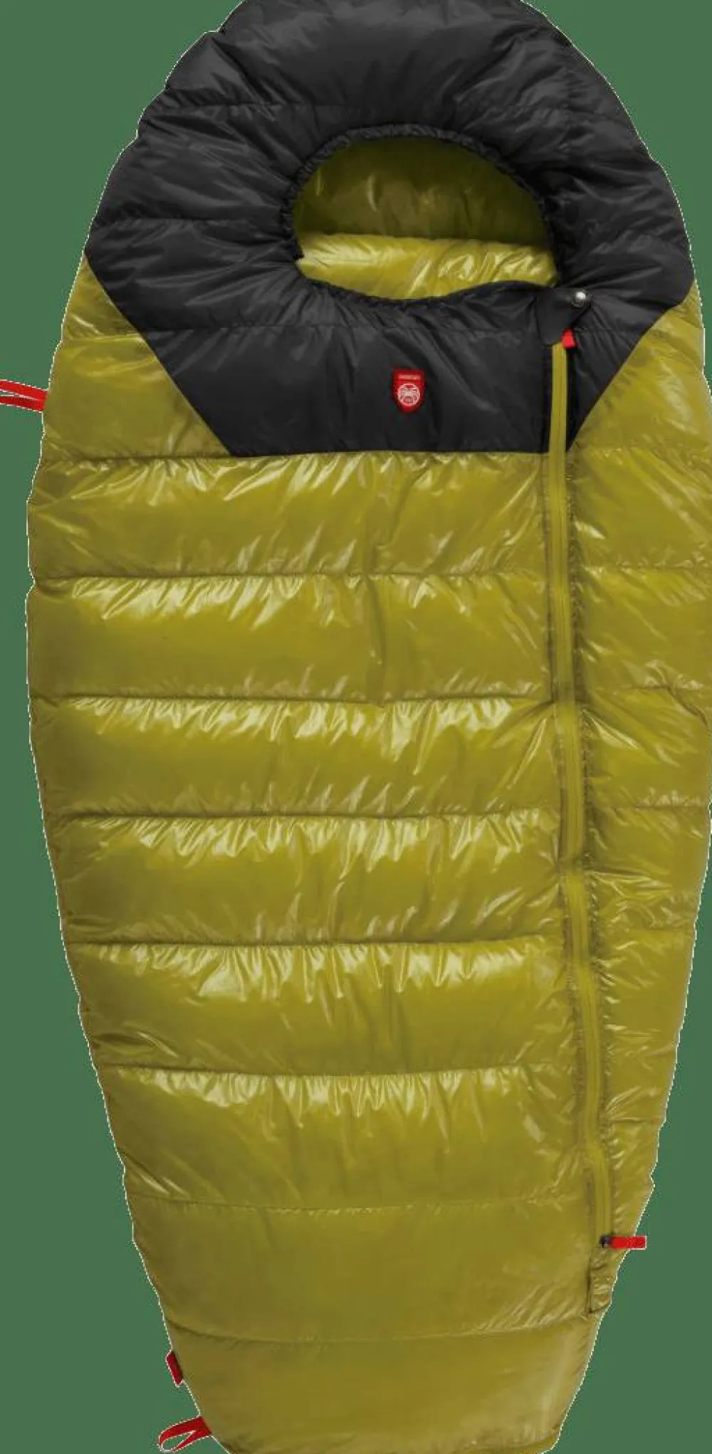 Pajak Kids' Quest Bear Olive/Black Online