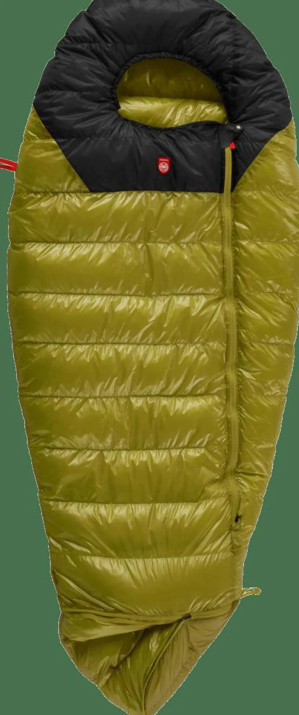 Pajak Kids' Quest Bear Olive/Black Online