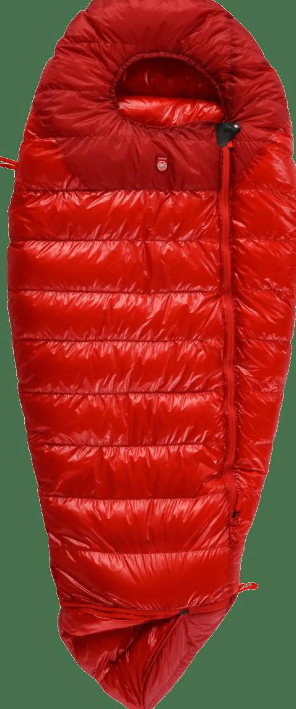 Best Kids' Quest Bear Camping