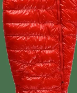 Best Kids' Quest Bear Camping