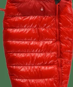 Best Kids' Quest Bear Camping