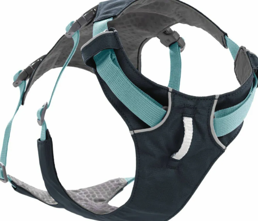 Sale Flagline™ Harness Hund