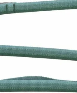 Hot Front Range Leash Hund