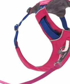 New Hi & Light™ Harness Hund