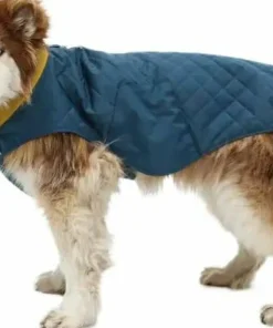 Ruffwear Stumptown Jacket Orion Blue