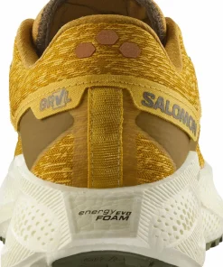 Salomon Men's Aero Glide 3 Grvl Spicy Mustard/Vanilla Ice/Deep Lich Hot