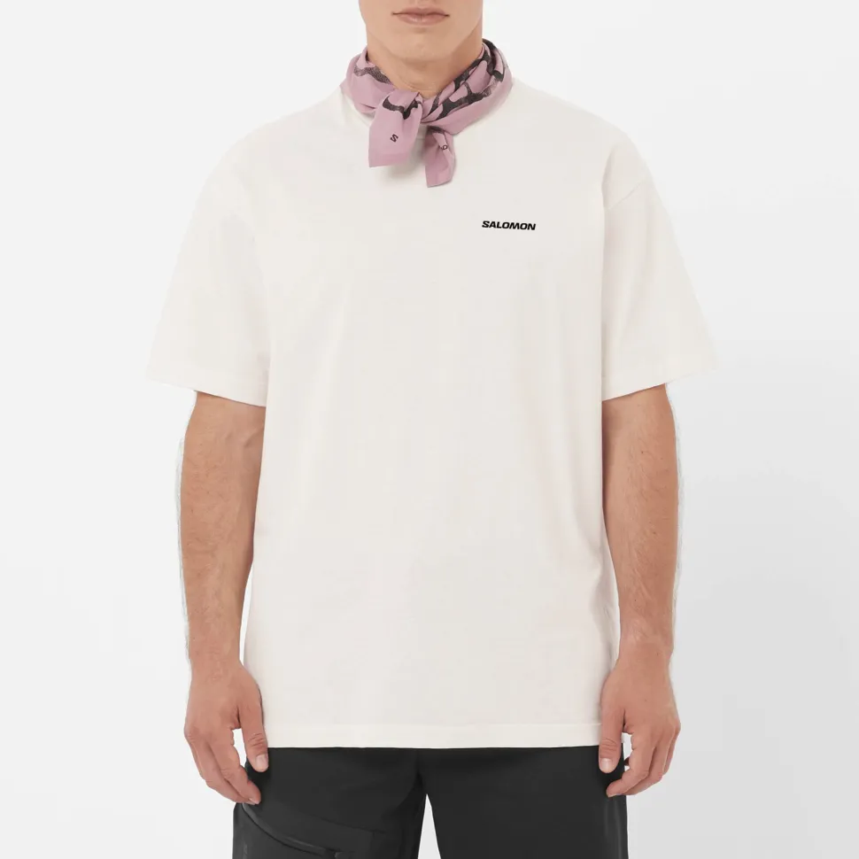 Salomon Men's Salomon RX Logo Tee Whisper White