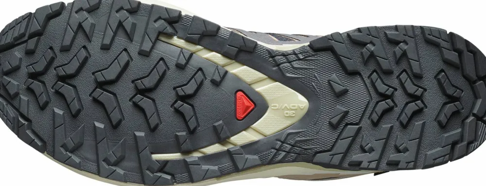 Salomon Women's XA Pro 3d V9 GORE-TEX Nine Iron/Oxford Tan/Alfalfa Hot