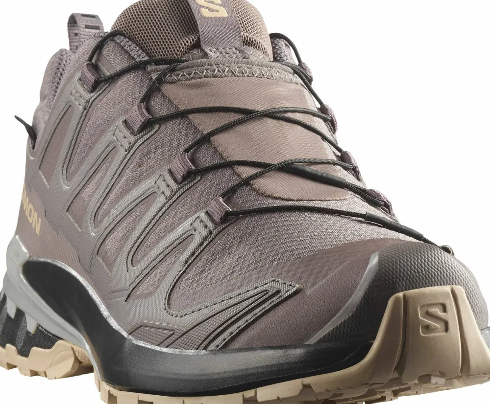 Salomon Women's XA Pro 3D V9 GORE-TEX Plum Kitten/Black/Gull Online