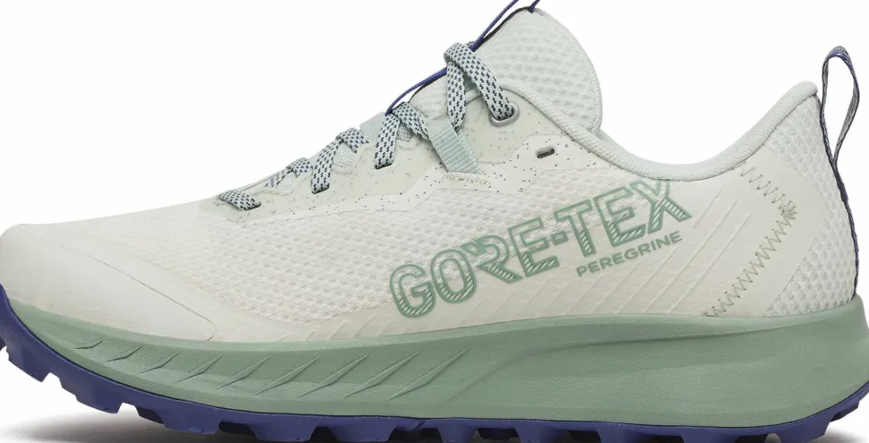 Saucony Women’s Peregrine 15 GORE-TEX Quartz/mist