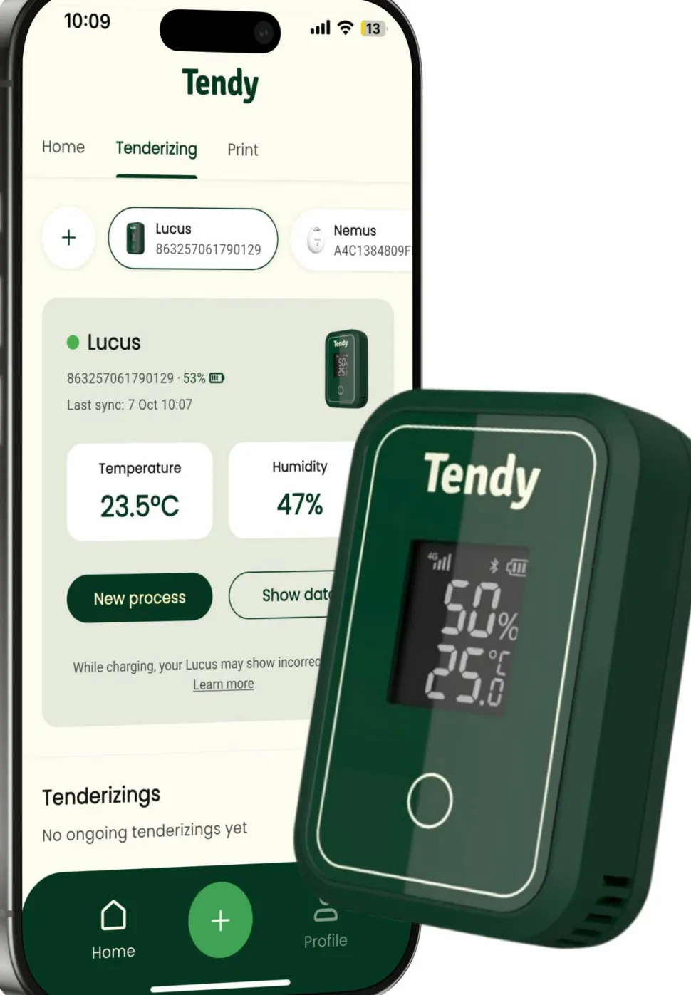 Tendy Lucus 4g Mörningstimer Green