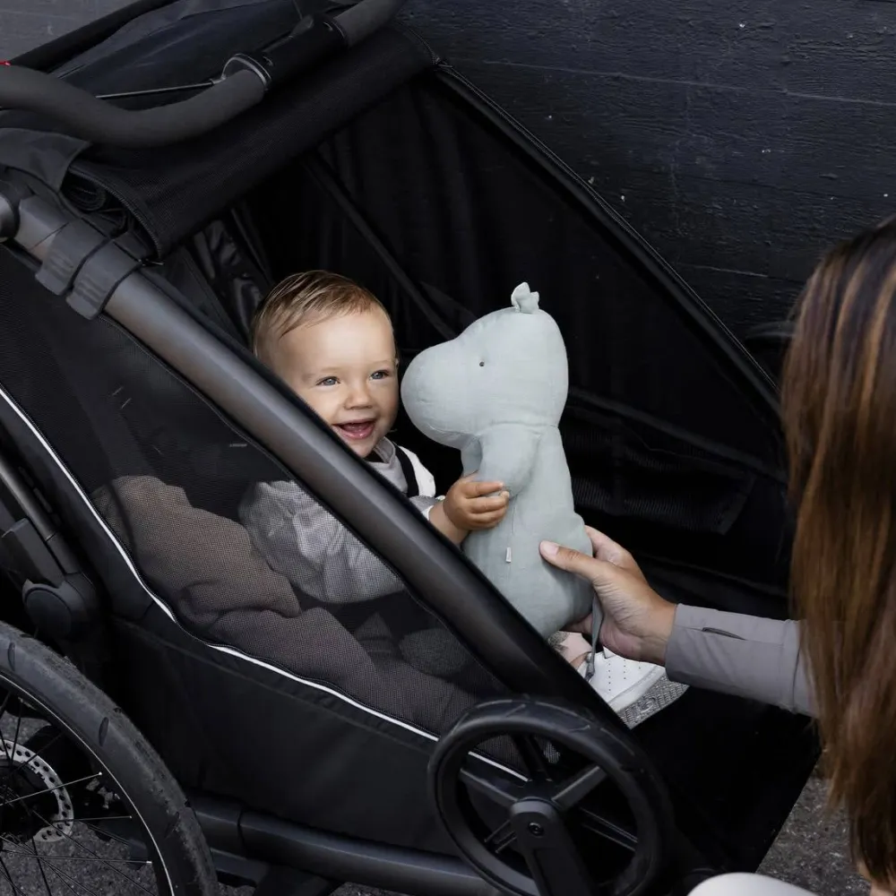 Thule Chariot Sport 2 G3 Black Best
