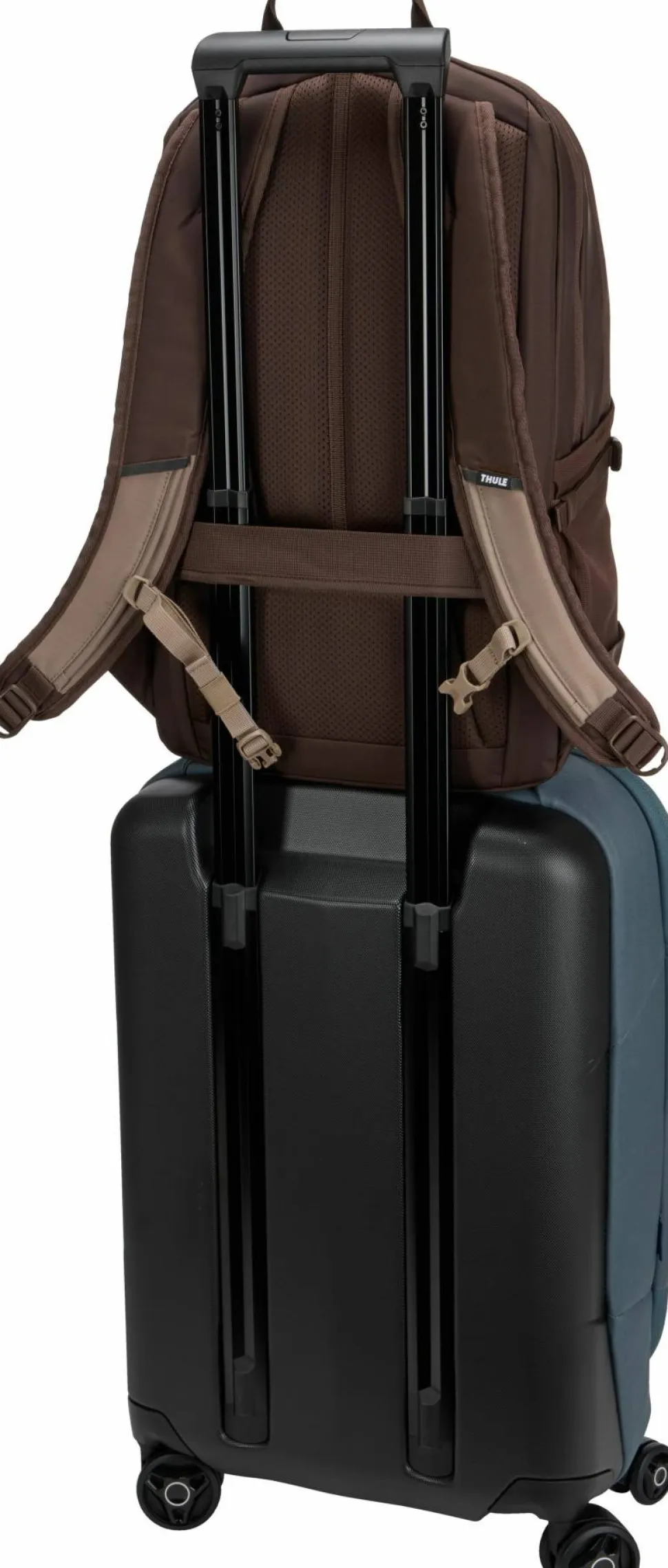 Thule Enroute Backpack 23L Brown