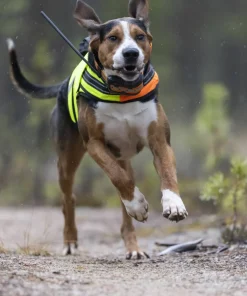 Hot Artemis Black Elektronik|Hund
