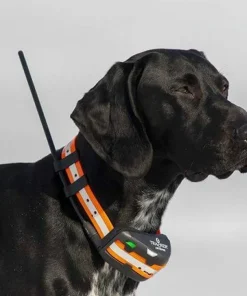 Hot Artemis Black Elektronik|Hund